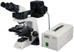 LABOMED Lx400 Fluorescence Microscope; quality Infinity corrected Plan optics, 50 watt mercury arc epi-fluorescence illuminator. Fluorescence without the high cost. Ideal for laboratory, research, academic biological applications. 