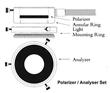 ANNULAR LIGHTGUIDES for Model 21 Series, Leica microscope, Zeiss microscopes, Scienscope, OCWhite, Fostec, Schott-Fostec, Ushio, Techniquip, Techni-Quip, Chiu Technical, Sumita Optical