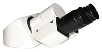 oem/siedentoph-head1.jpg