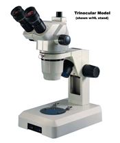 BIOMEDICAL 7:1 Zoom – feature Greenough optical system for high quality imaging. Available in binocular or camera ready trinocular.