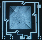 IR INSPECTION - Infrared inspection, infrared silicon inspection, forensic, infrared forensic, GSR, gunshot residue, gun shot residue, silicon wafer inspection, MEMS structures, pressure sensor die