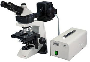 CXR4 ergonomic - Research microscope, research biological microscope, Olympus CX31, Olympus CX41, LaboMed Lx400 microscope, Fluorescence microscope, Epi-fluorescence microscope, phase contrast microscope, polarizing microscope, Leica DME microscope, Leica DMLM microscope