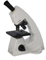 CXR4 Ergonomic - Student microscope, student biological microscope, student compound microscope, Olympus CX21, LaboMed microscope, Labo microscope, Olympus microscope, Meiji microscope, Nikon microscope, Leica microscope, Zeiss microscope, Wesco microscope