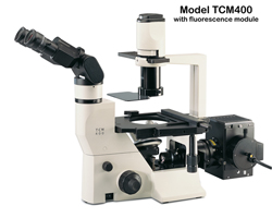 Labomed TCM400 INVERTED Fluorescence Microscope; offers top quality 

fluorescence and phase contrast microscopy. Ergonomic and digital camera options. Features long working distance, ‘true-color’ plan 

infinity corrected optics.