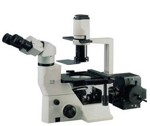 TCM400 INVERTED Phase/Fluorescence - Student microscope, student biological microscope, student compound microscope, Olympus CX21, LaboMed microscope, Labo microscope, Olympus microscope, Meiji microscope, Nikon microscope, Leica microscope, Zeiss microscope, Wesco microscope